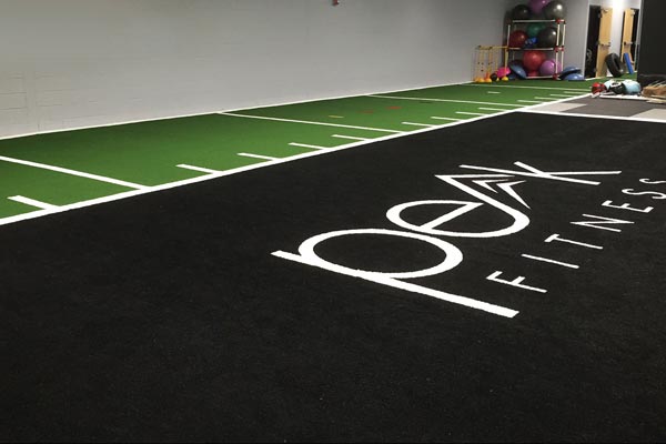 artificial grass agility and track