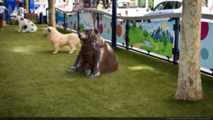 : A Pig, Bulldog, and Bear are Part of a Fake Animal Exhibit Built on Synthetic Turf