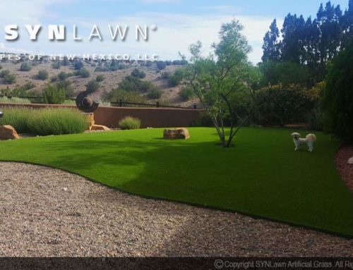 Our Synthetic Grass Is Right at Home in a Variety of Applications