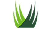 SYNLawn<sup>®</sup> New Mexico Logo