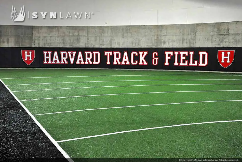 SYNLawn-SpeedTurf-Track-Turf-008.jpg.webp